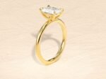 Elongated Cushion Emerald Cut Lab Grown Diamond 3ct Engagement Ring